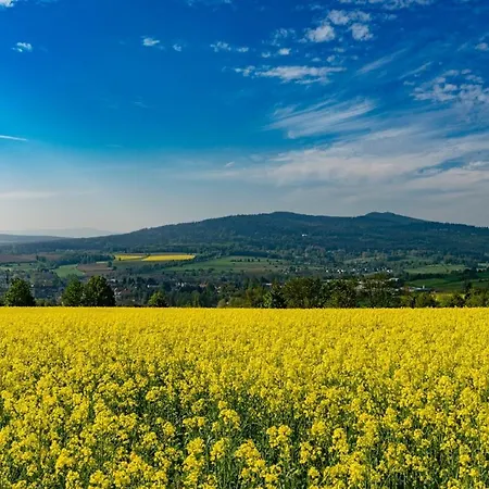Fichtelgruen * Wunsiedel